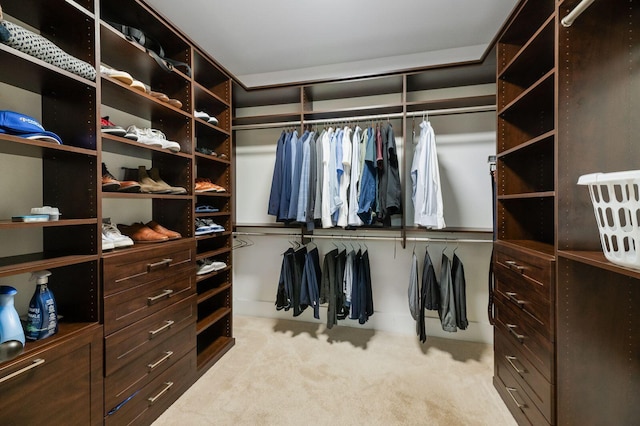 spacious closet featuring light colored carpet