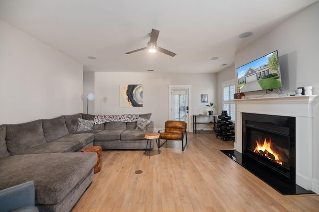 living room featuring ceiling fan and light hardwood / wood-style flooring