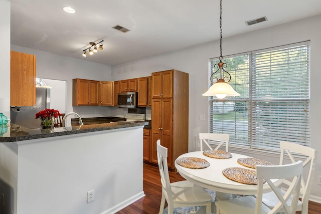 kitchen with kitchen peninsula, appliances with stainless steel finishes, a healthy amount of sunlight, and pendant lighting