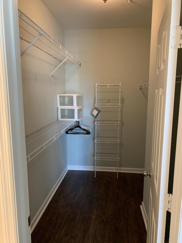 walk in closet featuring wood finished floors