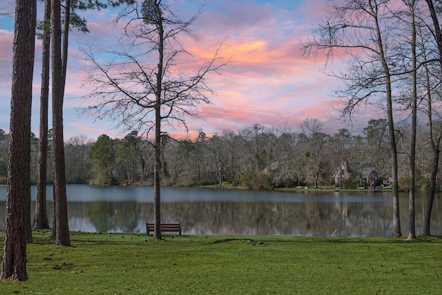 property view of water