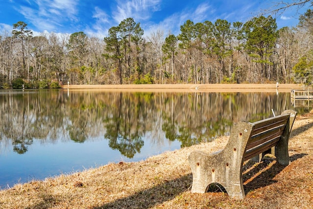 property view of water