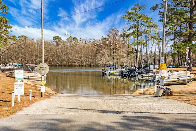 dock area with a water view