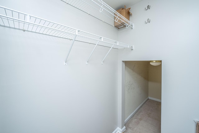 walk in closet featuring carpet flooring