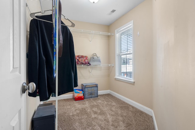 spacious closet with carpet