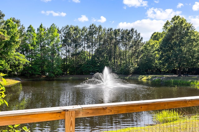 4009 E Amy Ln, Johns Island, SC 29455 - water view