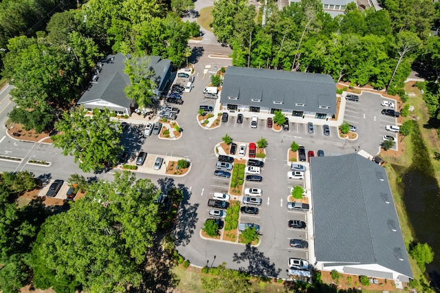 4009 E Amy Ln, Johns Island, SC 29455 - aerial view