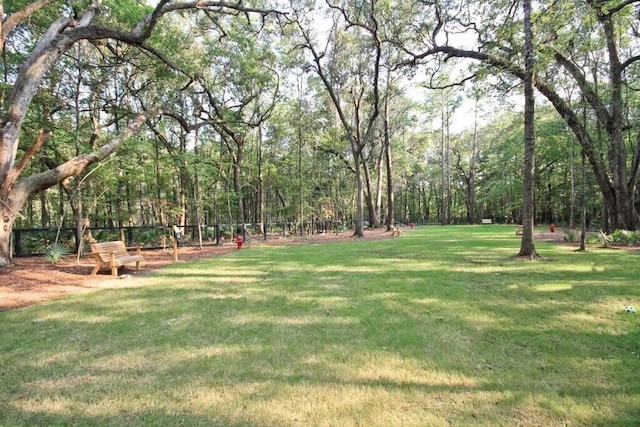 view of yard featuring a wooded view
