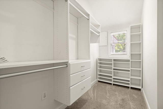 walk in closet with carpet floors