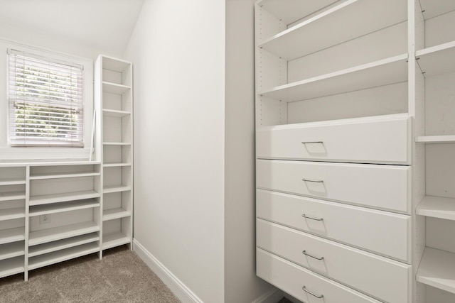 spacious closet with carpet