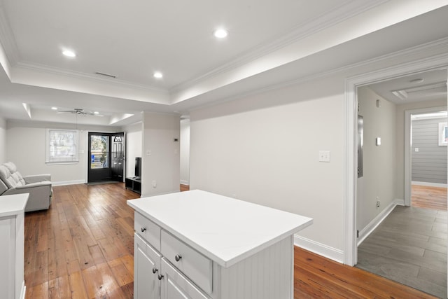 kitchen with a raised ceiling, a kitchen island, open floor plan, light countertops, and light wood-type flooring