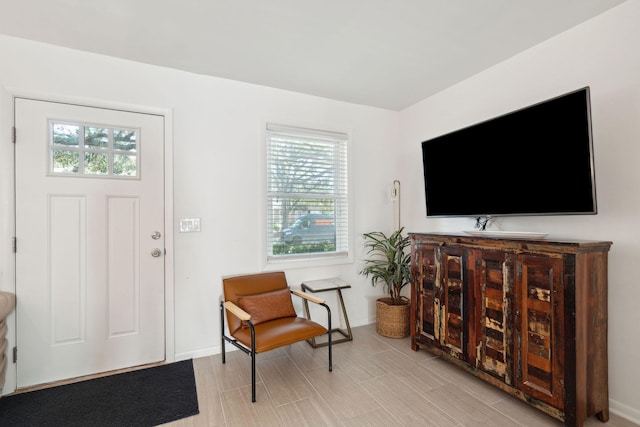 entryway with plenty of natural light