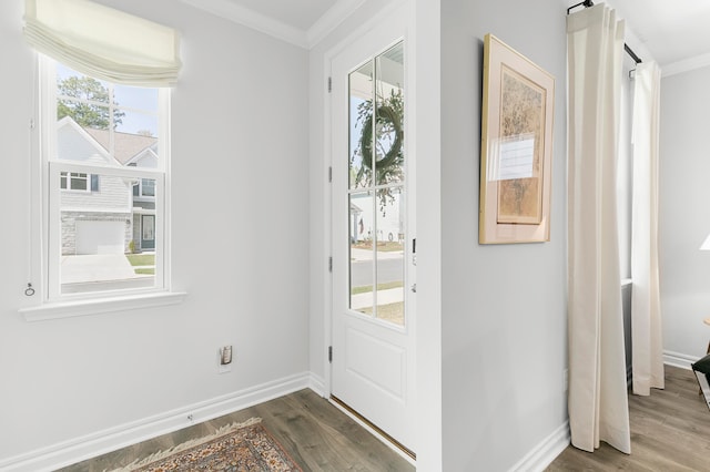 doorway featuring plenty of natural light, dark hardwood / wood-style floors, and ornamental molding