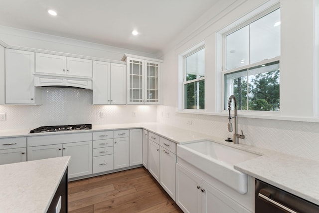 kitchen with appliances with stainless steel finishes, premium range hood, sink, wood-type flooring, and white cabinetry