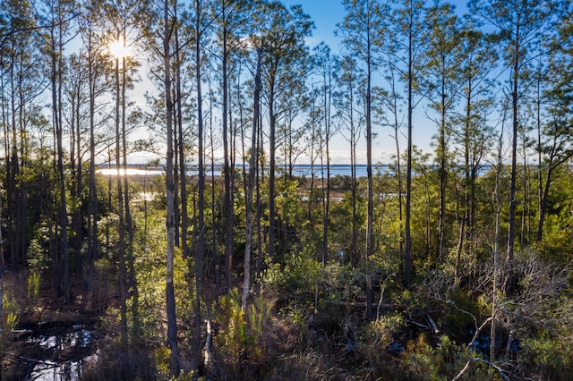 view of nature with a water view