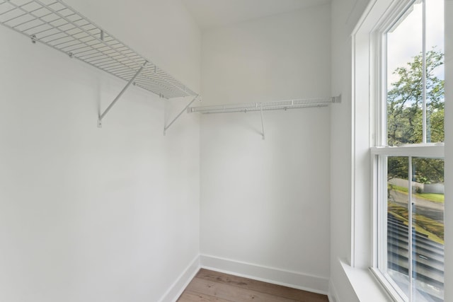 walk in closet with hardwood / wood-style floors