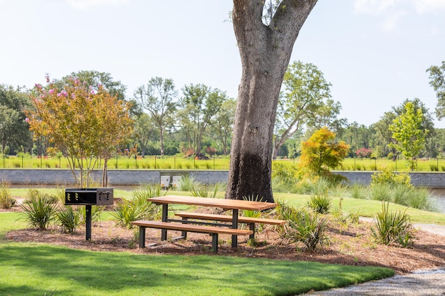 view of community with a yard