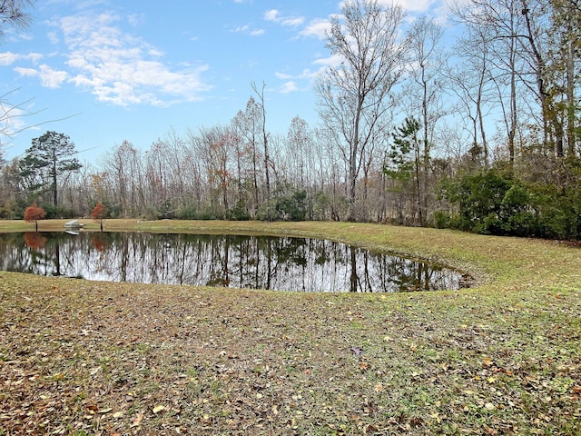 252 Island Green Rd, Goose Creek, SC 29445 - water view