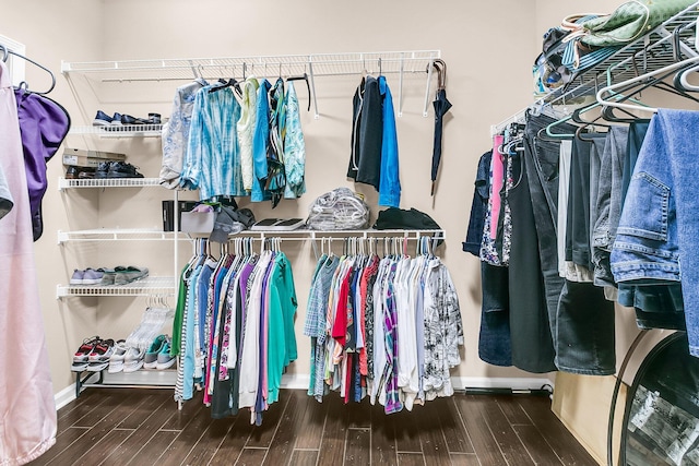 spacious closet with wood-type flooring