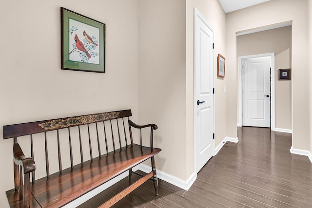 hallway featuring dark hardwood / wood-style floors