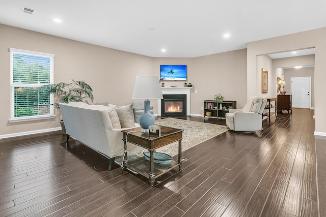 living room featuring dark wood-type flooring