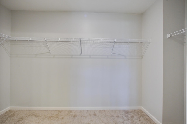 491 Fox Sparrow Ct, Summerville, SC 29486 - spacious closet with carpet