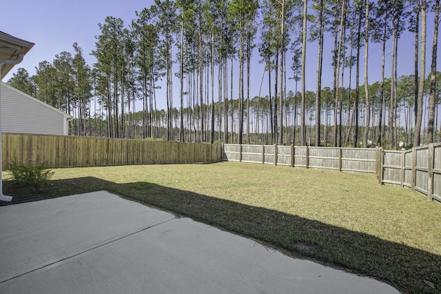 491 Fox Sparrow Ct, Summerville, SC 29486 - view of yard featuring a patio and a fenced backyard