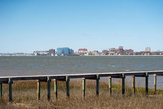 view of water feature with a view of city