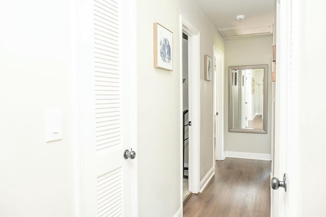 407 Tammie Ave, Goose Creek, SC 29445 - hallway with dark wood finished floors and baseboards