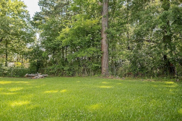 407 Tammie Ave, Goose Creek, SC 29445 - view of yard featuring a fenced backyard