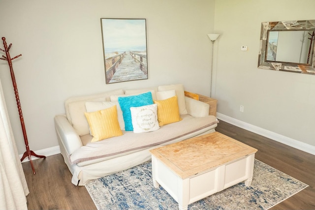 407 Tammie Ave, Goose Creek, SC 29445 - living room with dark wood-type flooring and baseboards