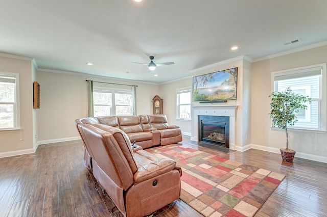 living room with ceiling fan, crown molding, and dark wood-type flooring