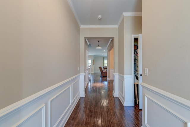 hallway with dark hardwood / wood-style floors and ornamental molding