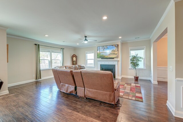 living room with crown molding, dark hardwood / wood-style flooring, and ceiling fan