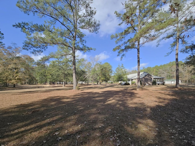 2300 Bethera Rd Unit B, Bonneau, SC 29431 - view of yard