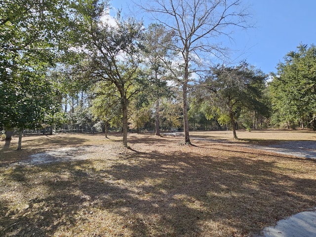 2300 Bethera Rd Unit B, Bonneau, SC 29431 - view of yard