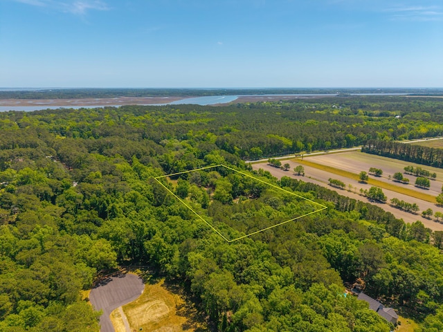 aerial view with a view of trees