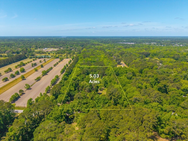 drone / aerial view with a forest view