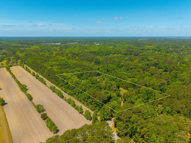 drone / aerial view with a rural view and a forest view