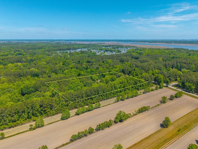aerial view with a forest view