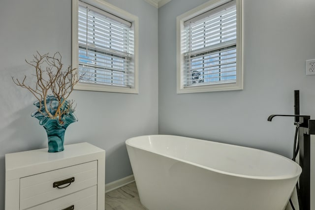 bathroom with a wealth of natural light and a washtub