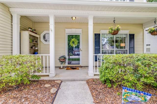 261 Mossy Oak Way, Mount Pleasant, SC 29464 - doorway to property featuring a porch