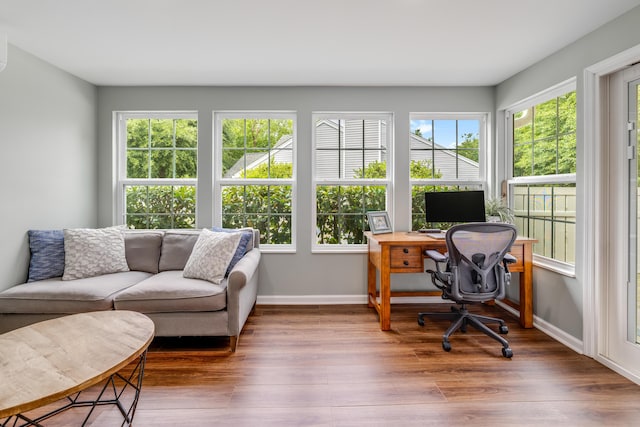 261 Mossy Oak Way, Mount Pleasant, SC 29464 - home office with wood finished floors and baseboards