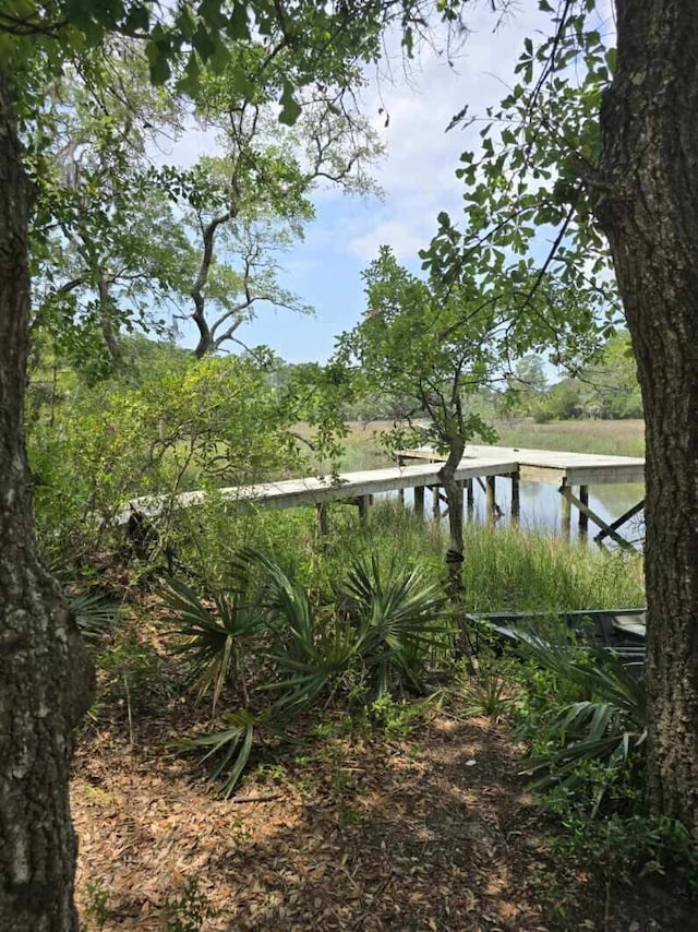261 Mossy Oak Way, Mount Pleasant, SC 29464 - view of dock