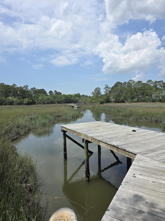 261 Mossy Oak Way, Mount Pleasant, SC 29464 - dock featuring a water view