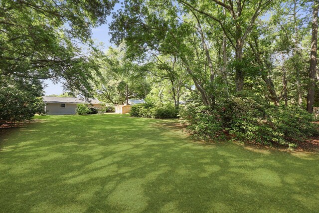 view of grassy yard with an outbuilding and a storage shed