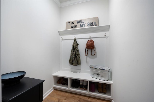 mudroom featuring wood finished floors and crown molding