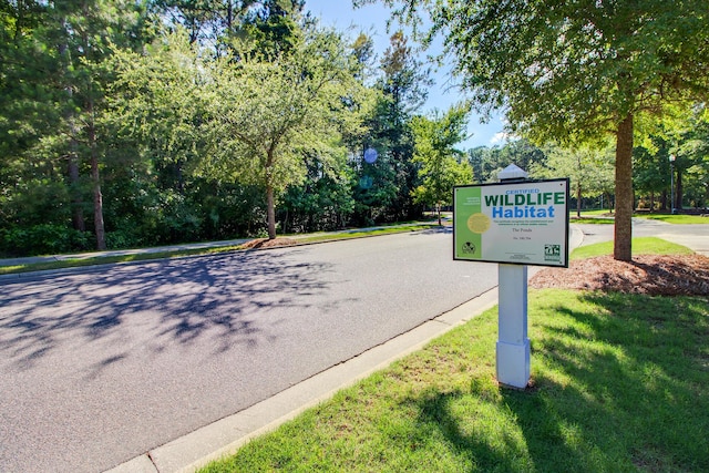 view of road featuring curbs