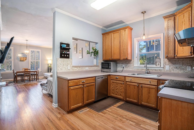 kitchen with sink, light hardwood / wood-style flooring, hanging light fixtures, tasteful backsplash, and stainless steel dishwasher