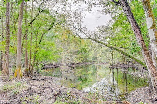 view of local wilderness featuring a water view